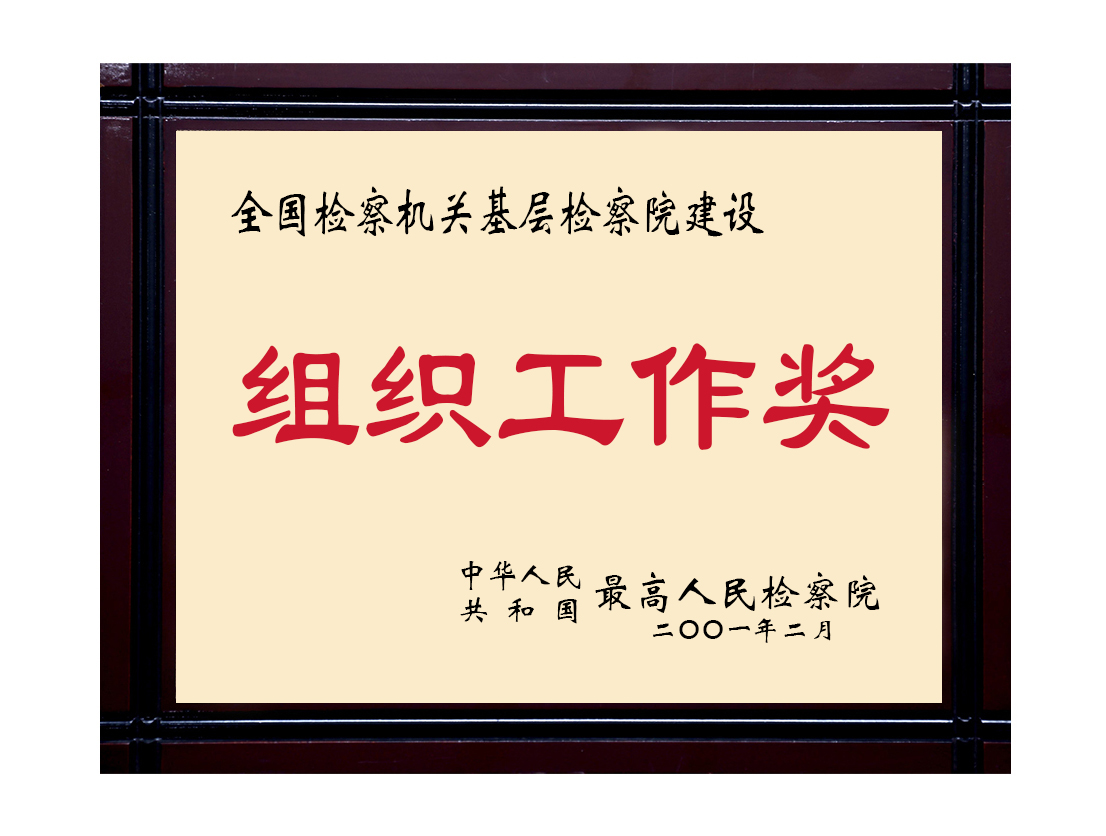 4全国检察机关基层检察院建设组织工作奖2001.jpg